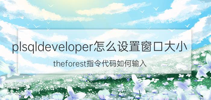 plsqldeveloper怎么设置窗口大小 theforest指令代码如何输入？